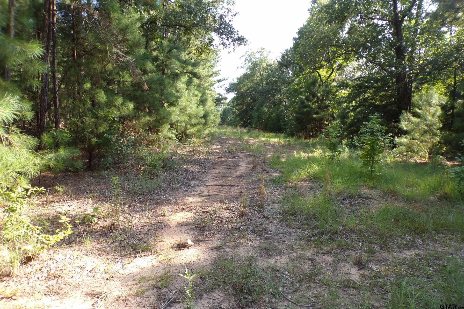 38.7 acres in Smith County - photo 20