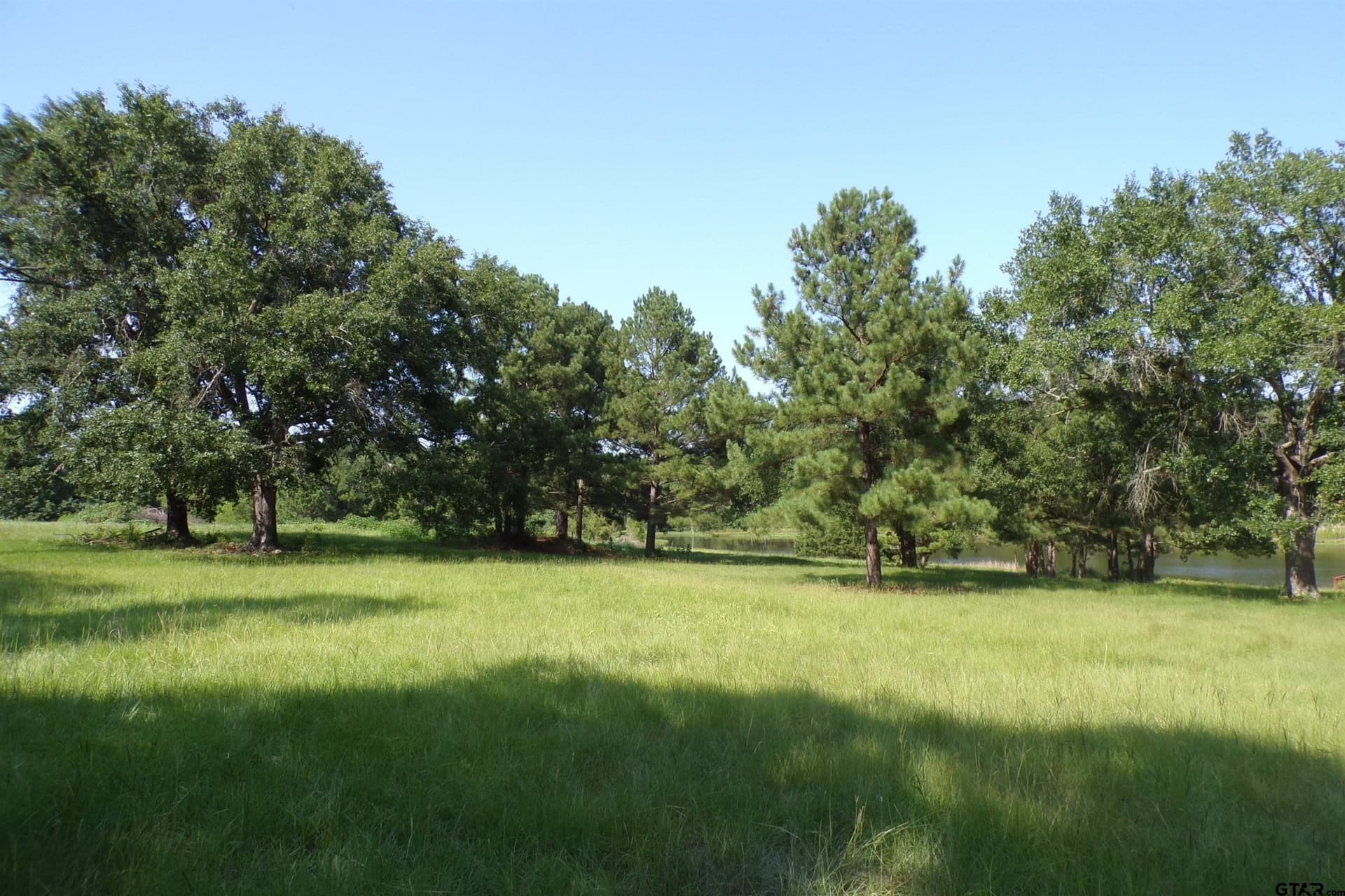 38.7 acres in Smith County - photo 6
