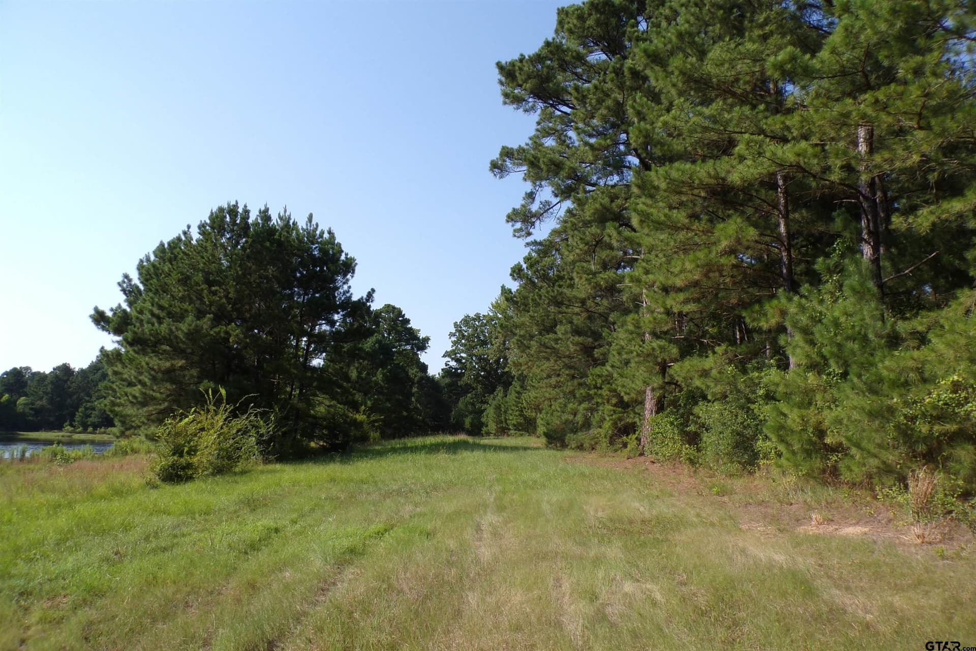 38.7 acres in Smith County - photo 18