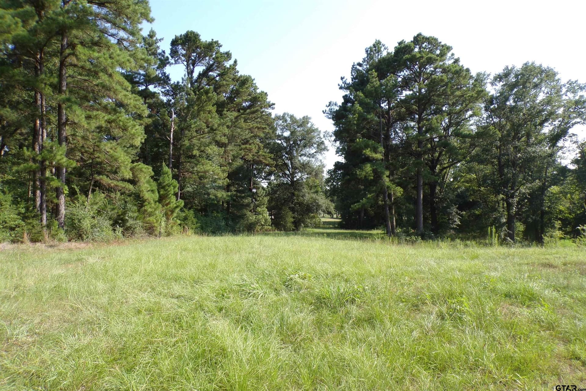 38.7 acres in Smith County - photo 17