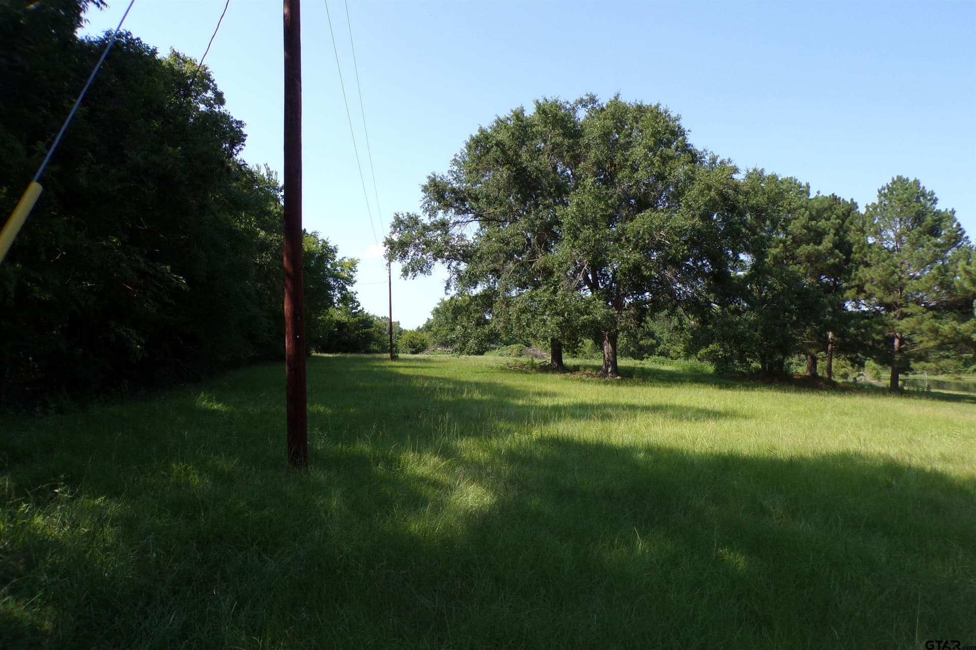 38.7 acres in Smith County - photo 4