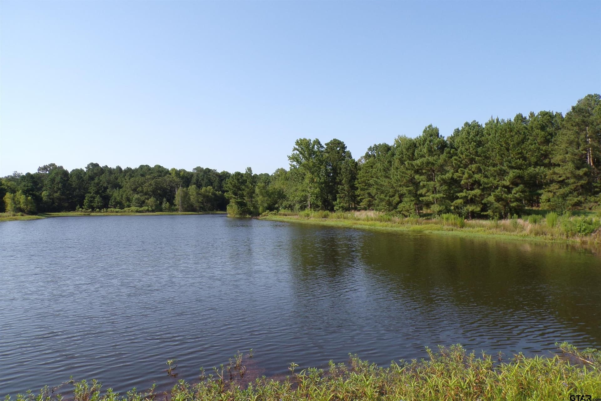38.7 acres in Smith County - photo 16
