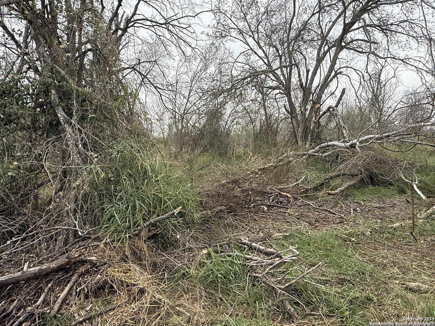 7.81 acres in Bexar County - photo 21