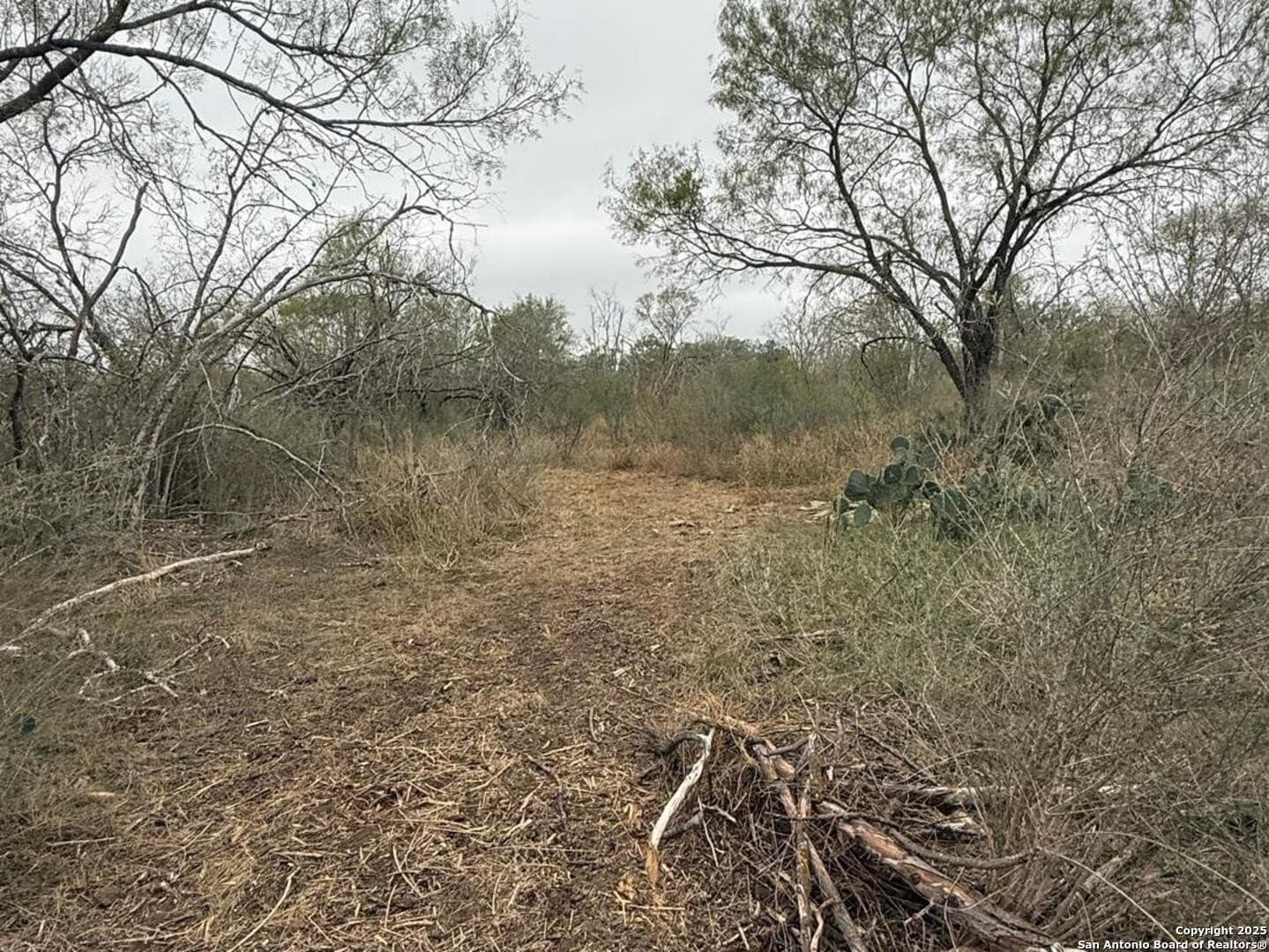 7.81 acres in Bexar County - photo 16