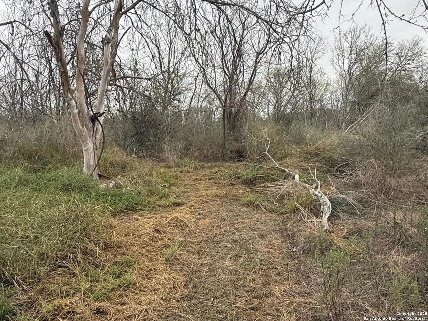 7.81 acres in Bexar County - photo 19