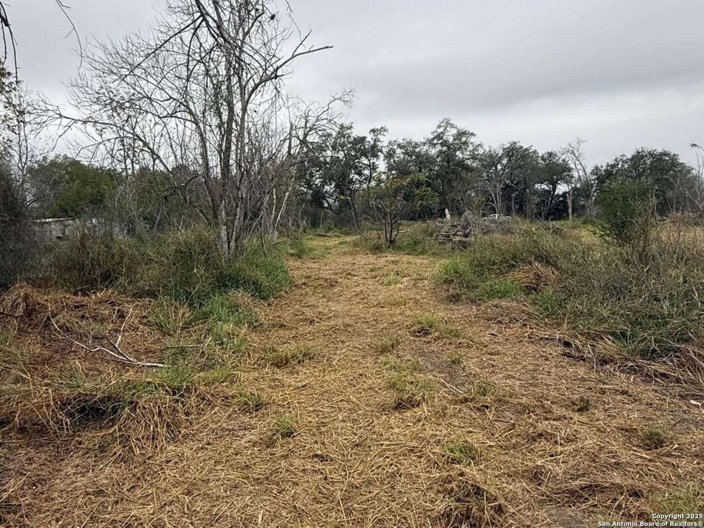 7.81 acres in Bexar County - photo 15