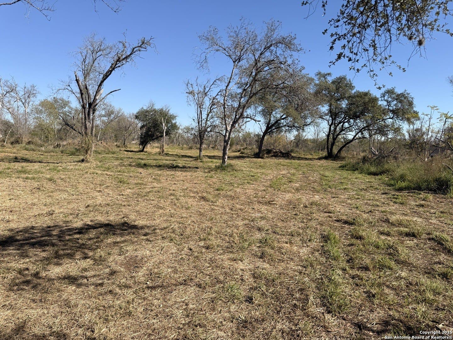 7.81 acres in Bexar County - photo 8