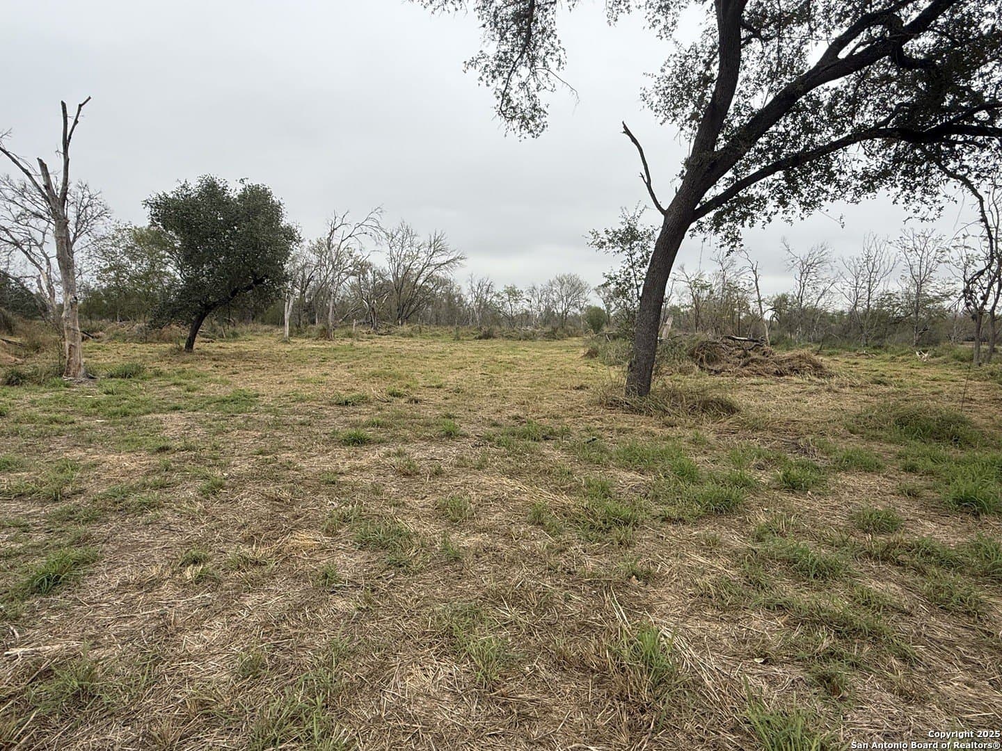 7.81 acres in Bexar County - photo 11