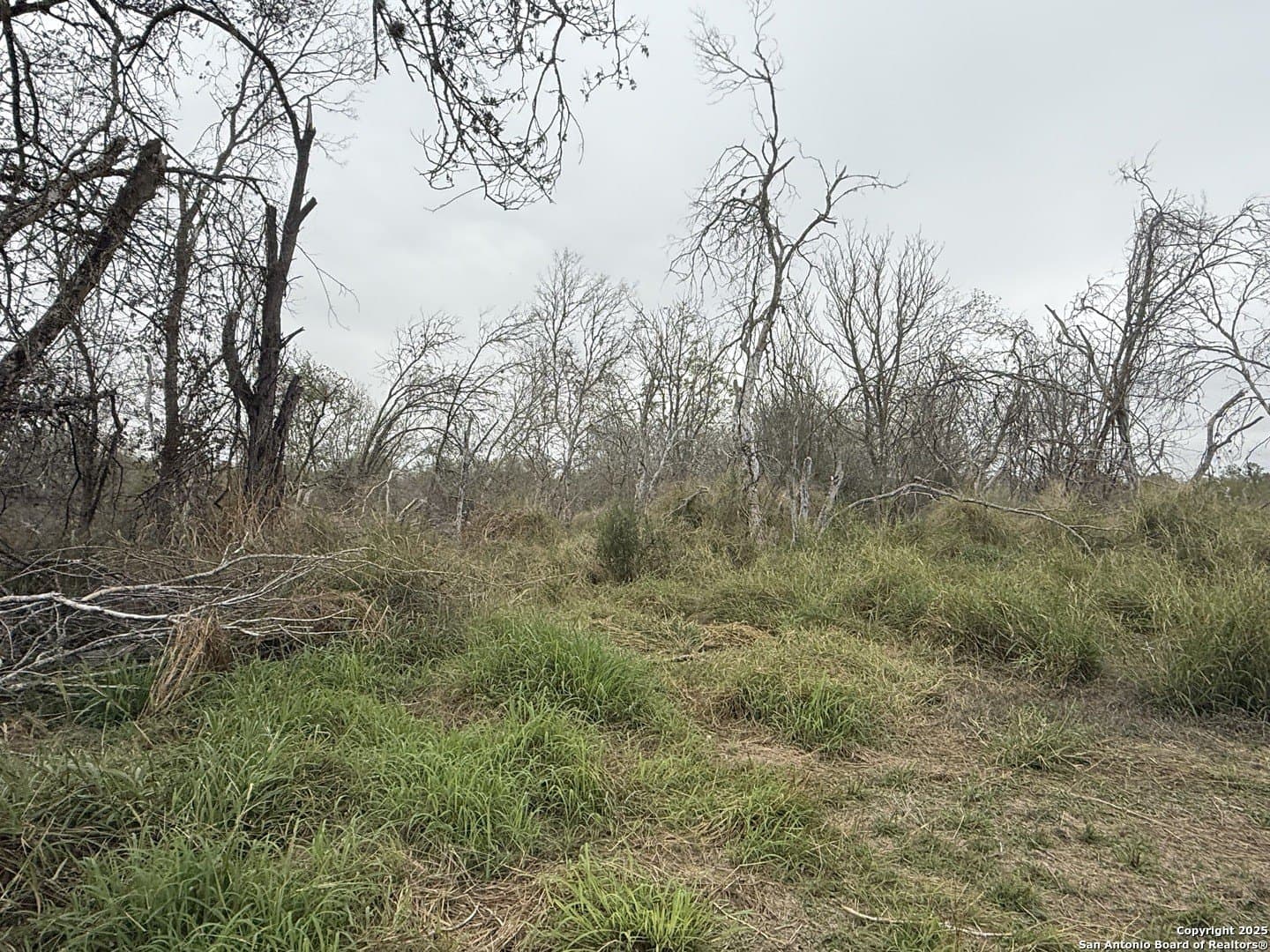 7.81 acres in Bexar County - photo 20