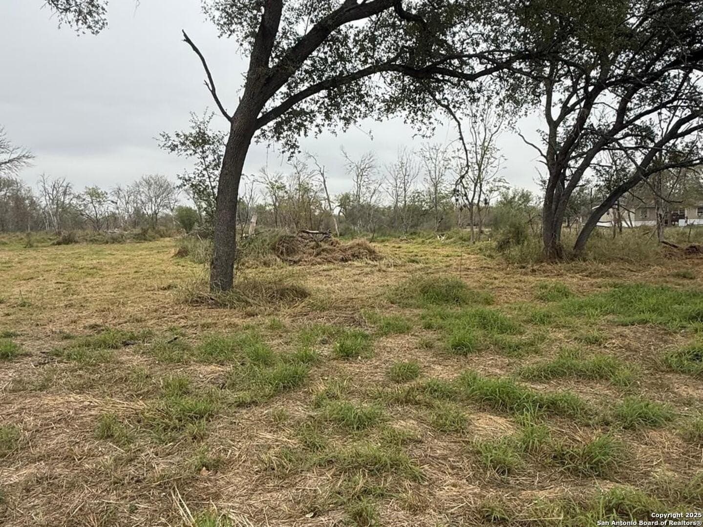 7.81 acres in Bexar County - photo 10