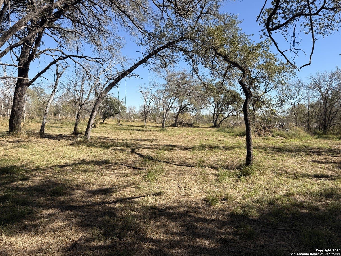 7.81 acres in Bexar County gallery image 2