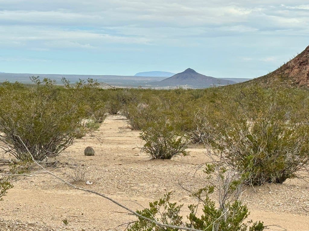 5 acres in Brewster County featured view