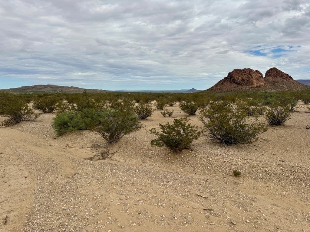 5 acres in Brewster County gallery image 4