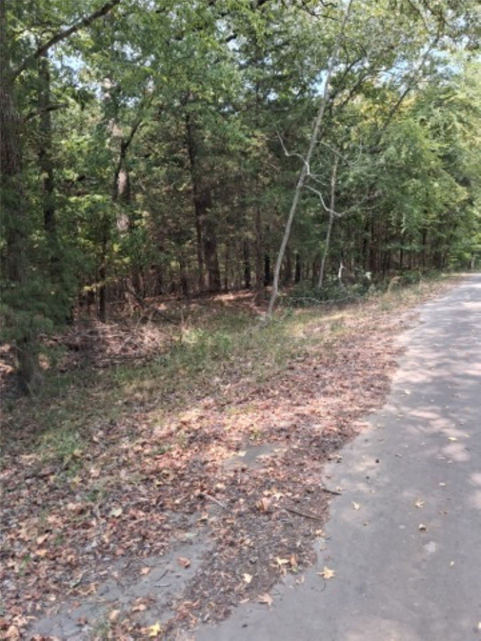 0.24 acres in Van Zandt County gallery image 2