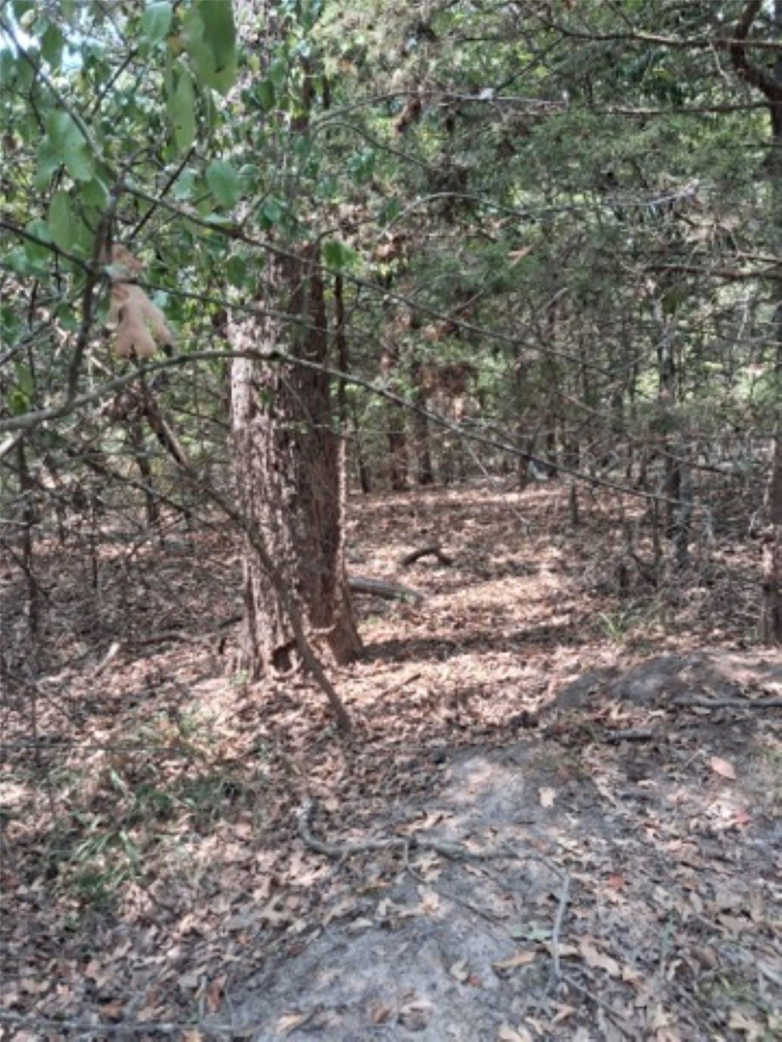 0.24 acres in Van Zandt County featured view