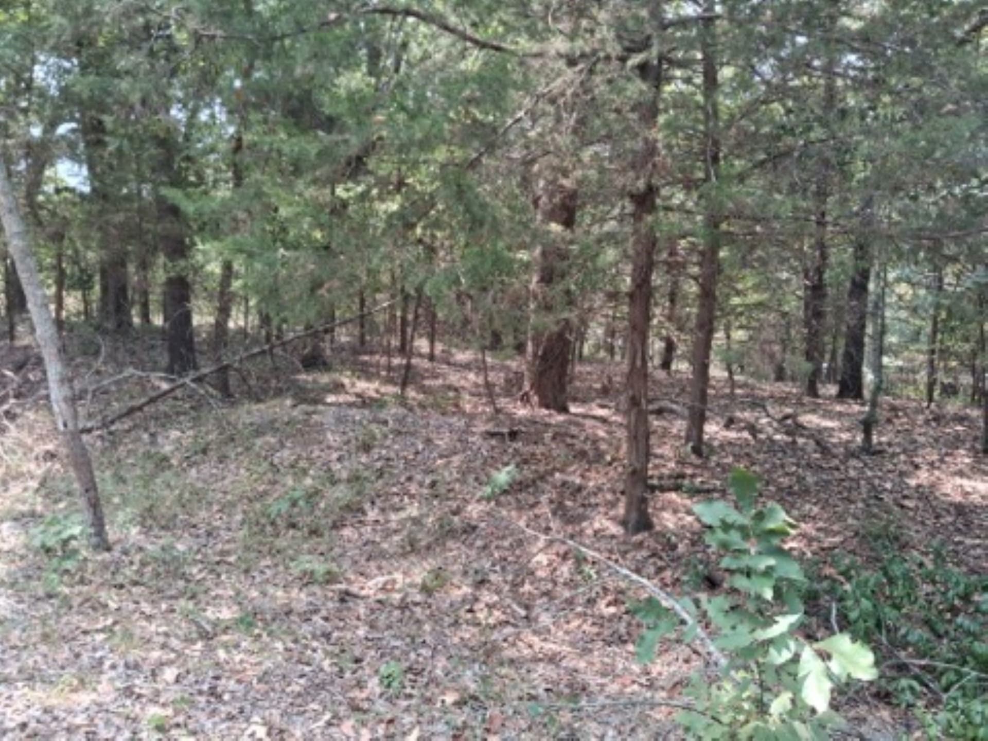0.24 acres in Van Zandt County gallery image 3