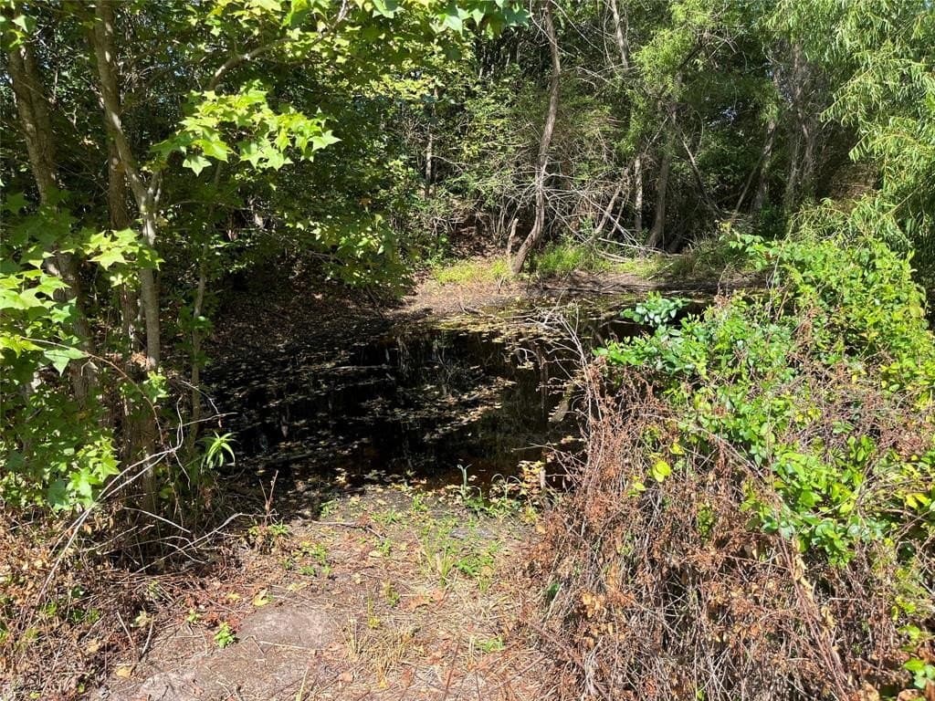 15.55 acres in Wood County gallery image 2