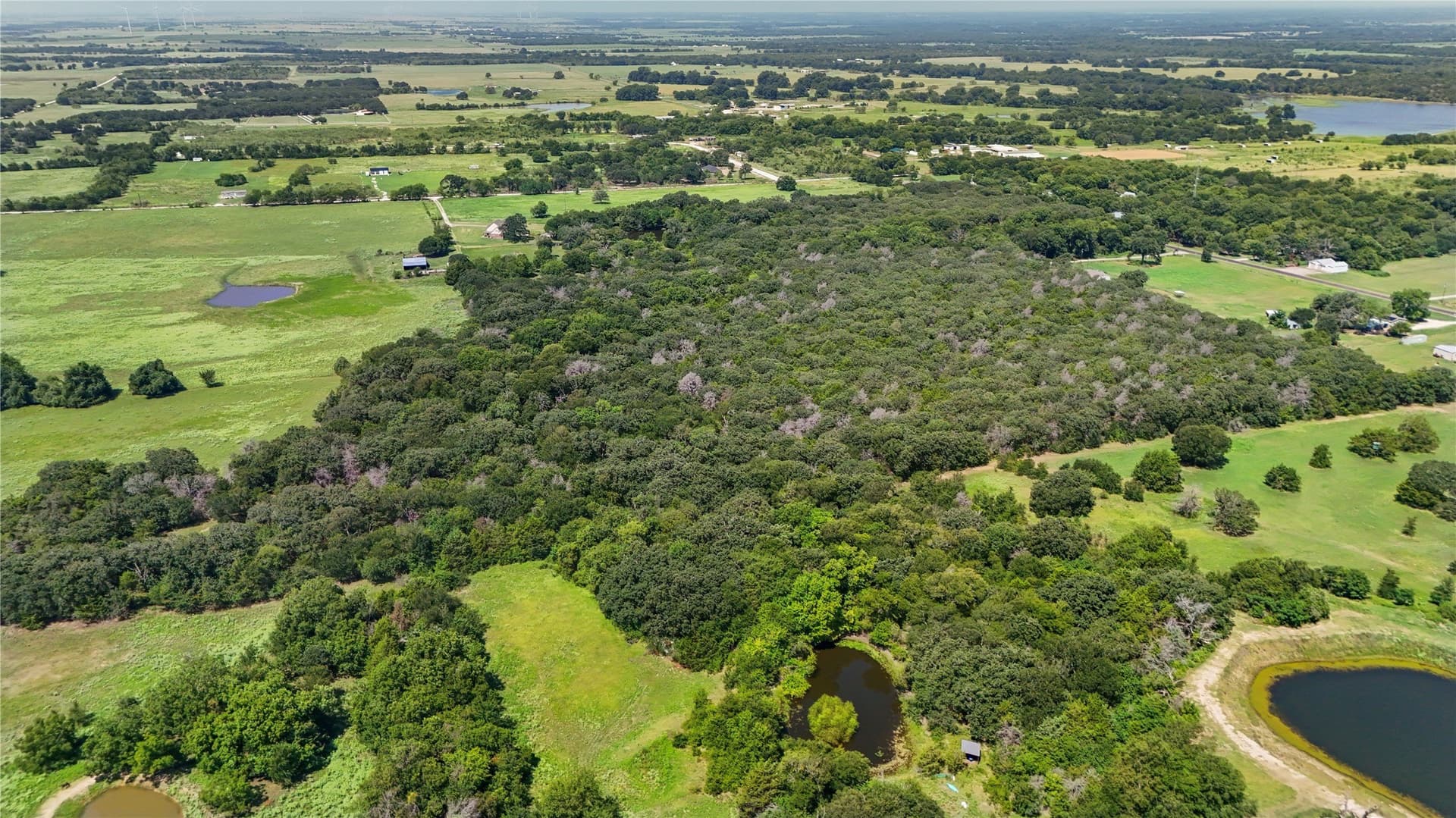 28.8 acres in Navarro County gallery image 3