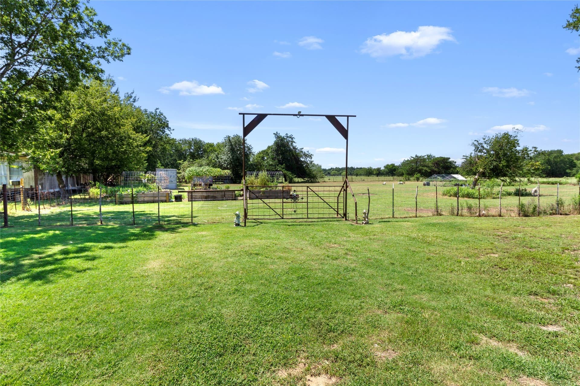 28.8 acres in Navarro County - photo 10