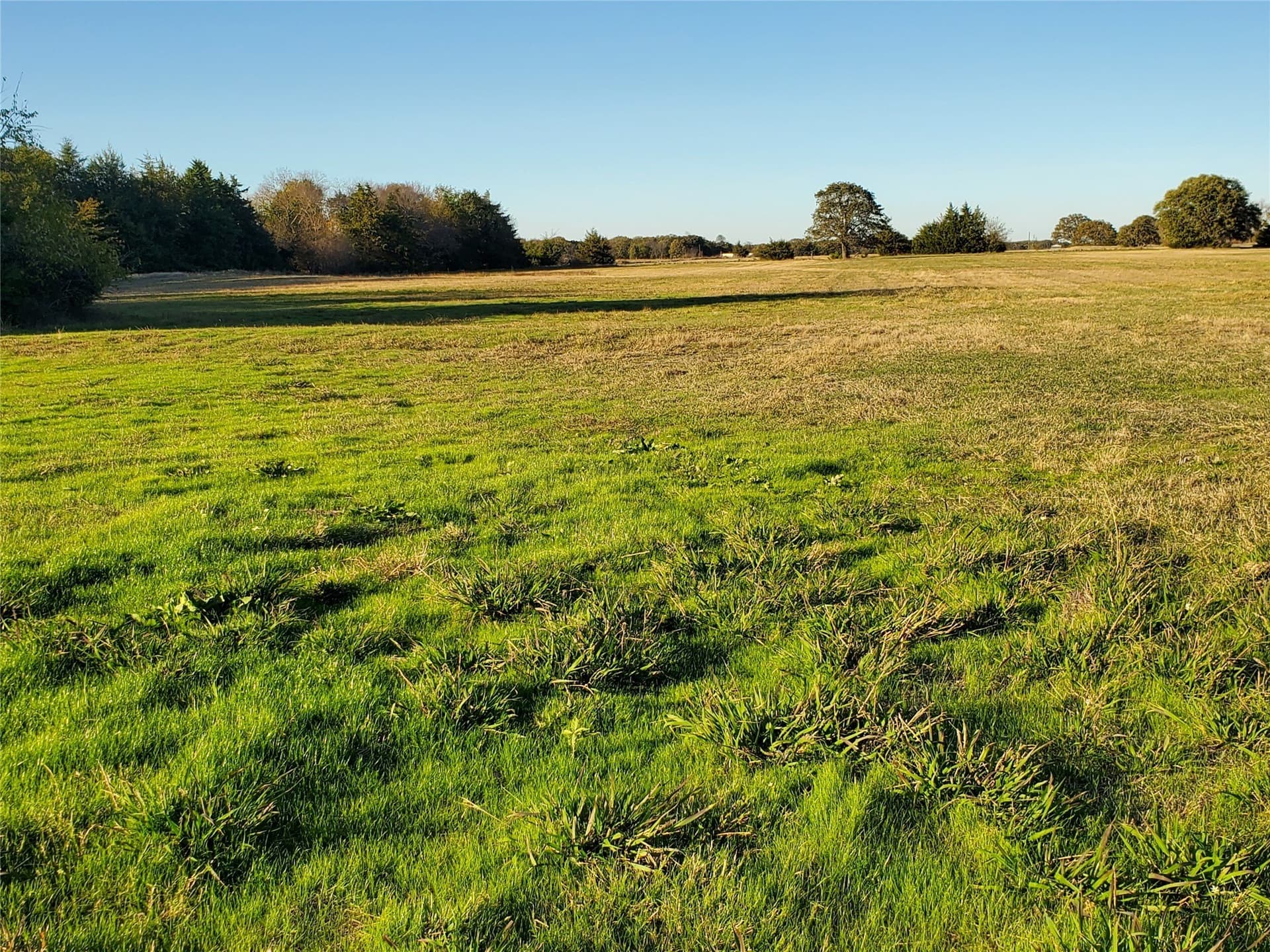 24.33 acres in Fannin County - photo 6
