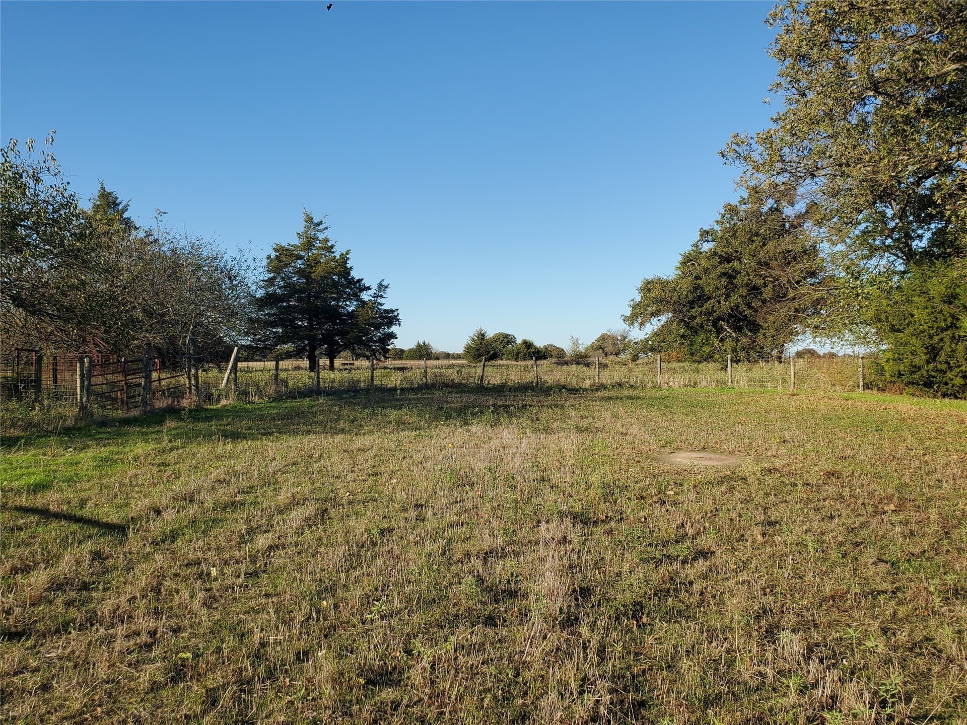 24.33 acres in Fannin County - photo 10