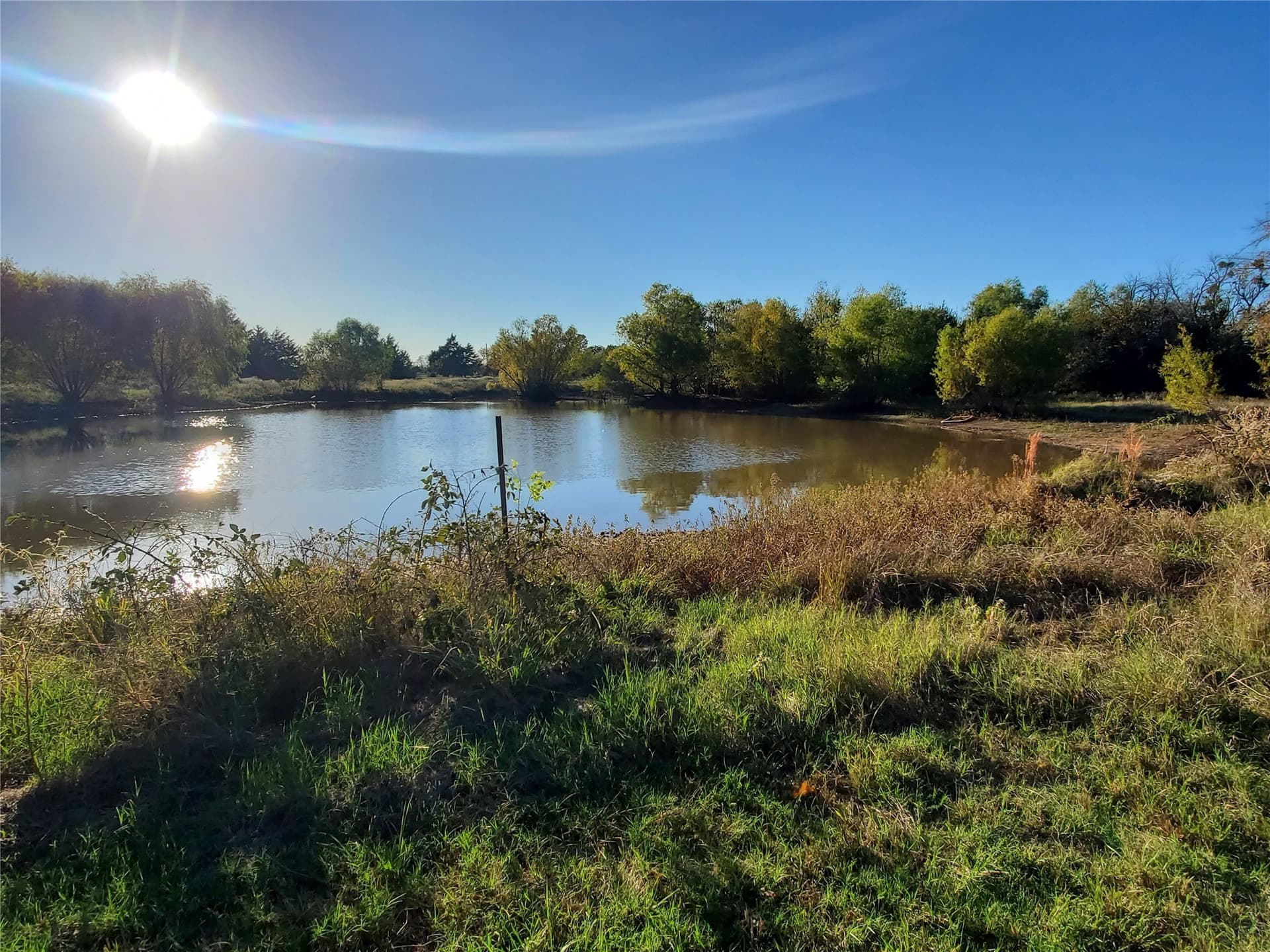 24.33 acres in Fannin County - photo 4