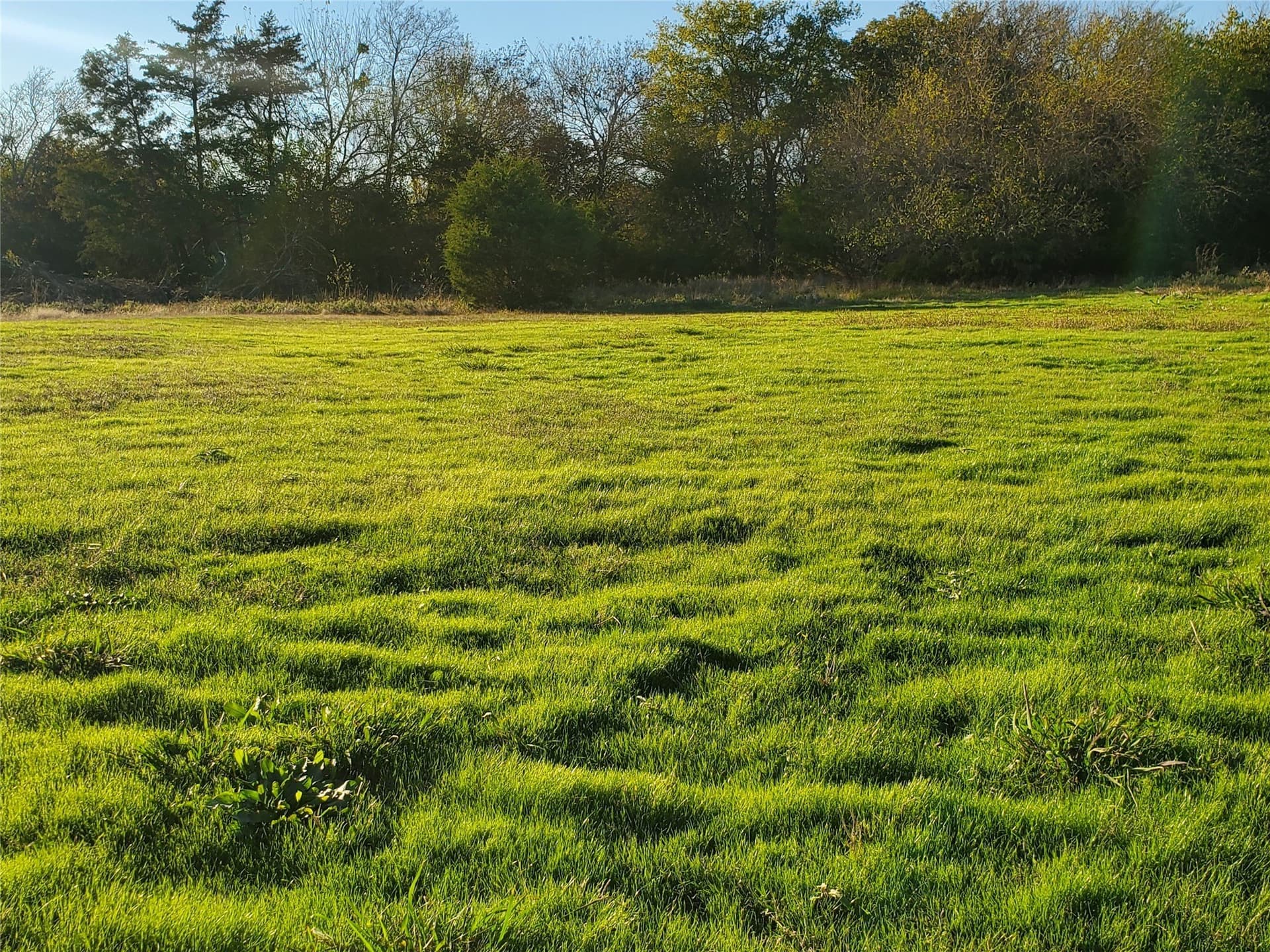 24.33 acres in Fannin County - photo 7