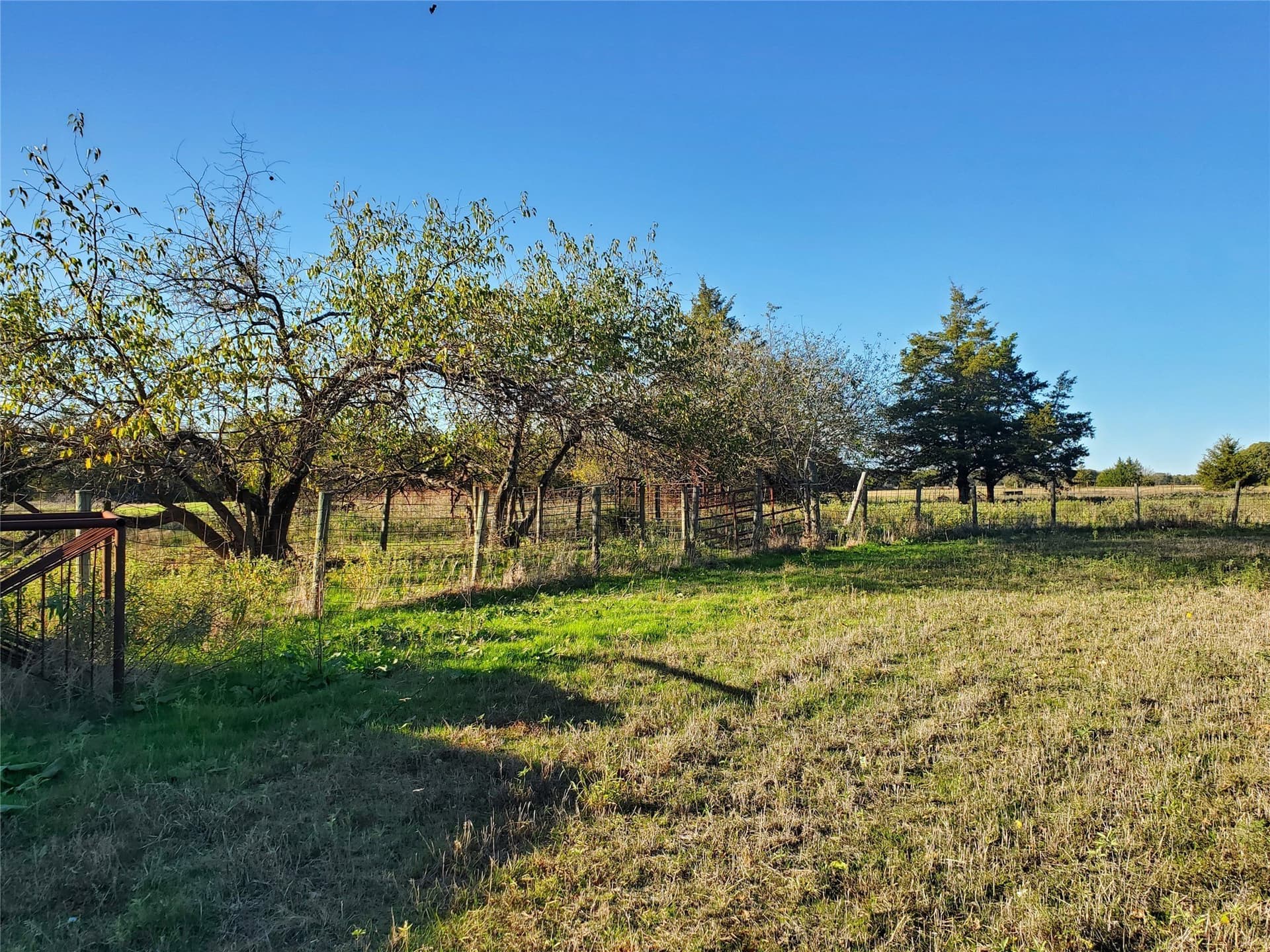 24.33 acres in Fannin County - photo 9
