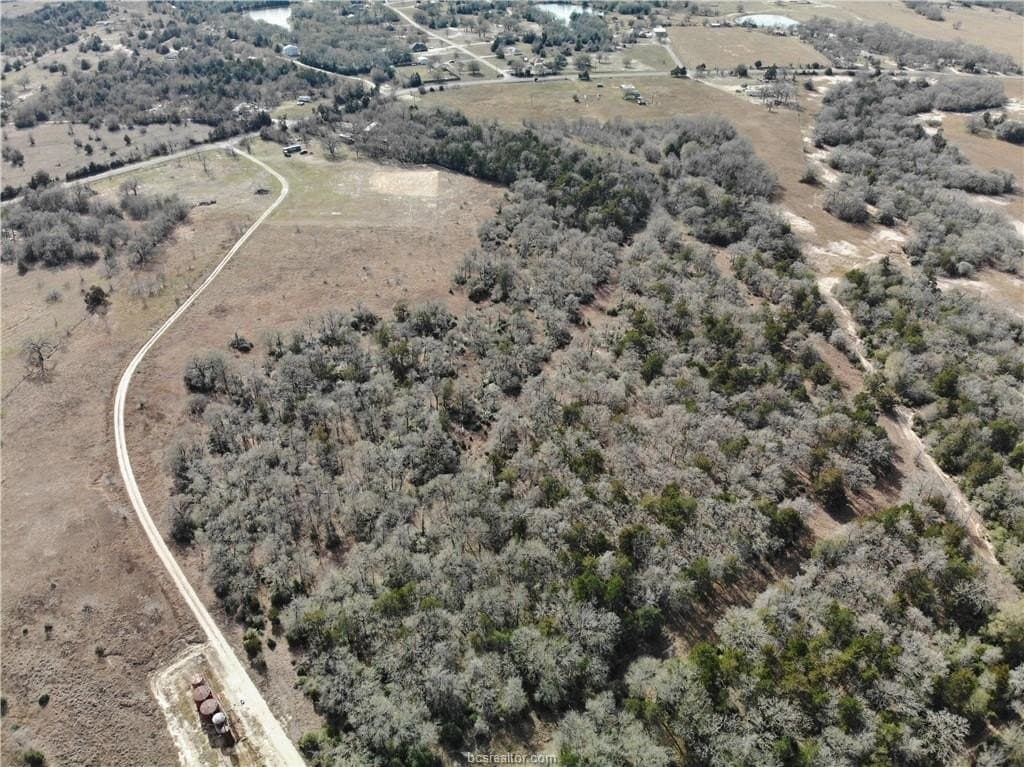 54 acres in Burleson County gallery image 3