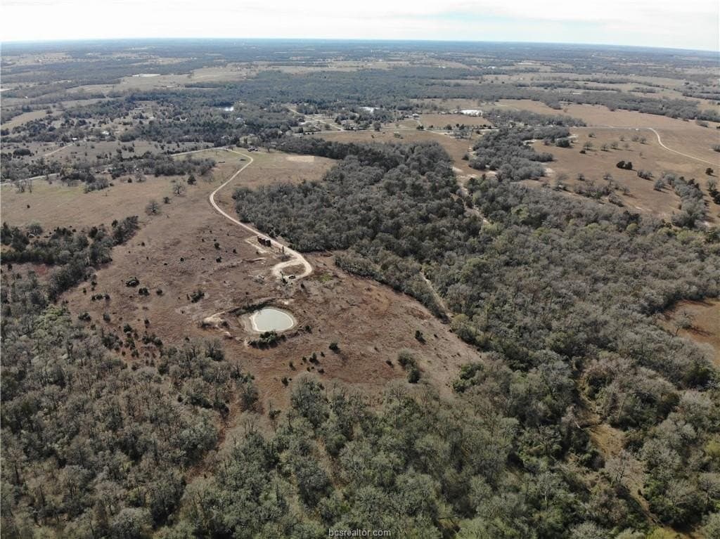 54 acres in Burleson County gallery image 4