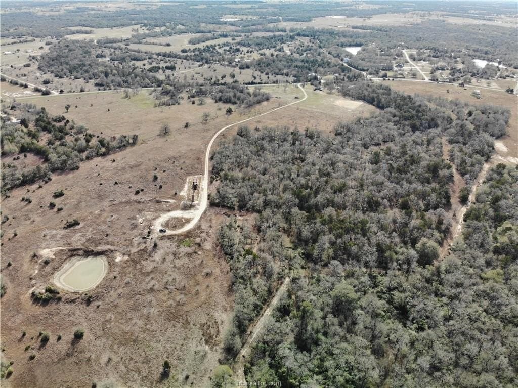 54 acres in Burleson County gallery image 2