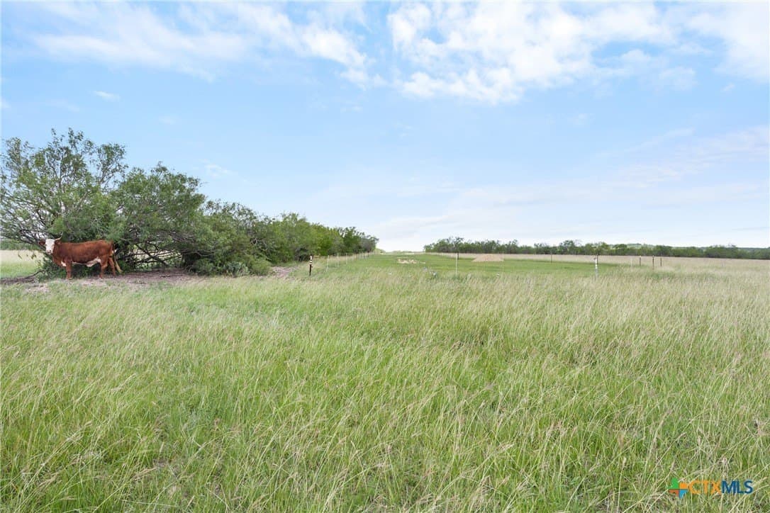 100 acres in Caldwell County - photo 12