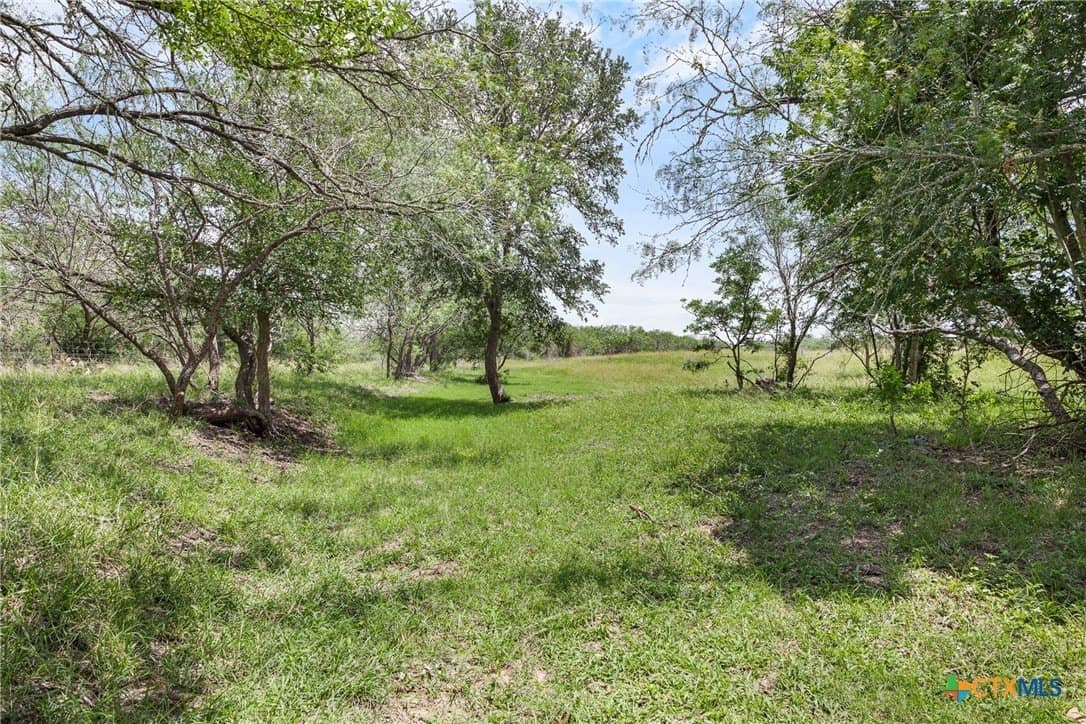 100 acres in Caldwell County featured view