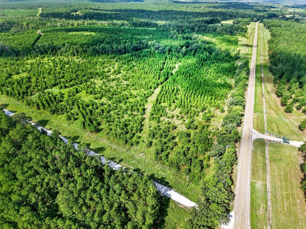 10.01 acres in Texas County - photo 6