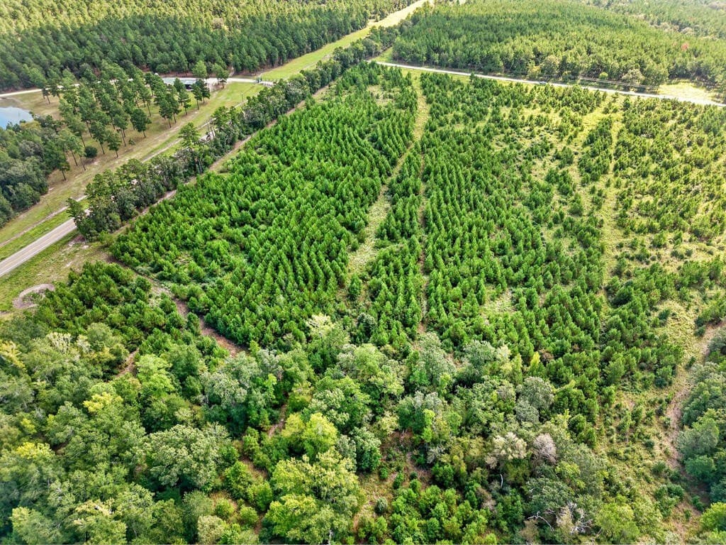 10.01 acres in Texas County - photo 10