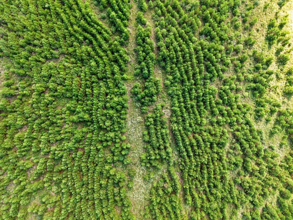 10.01 acres in Texas County - photo 11