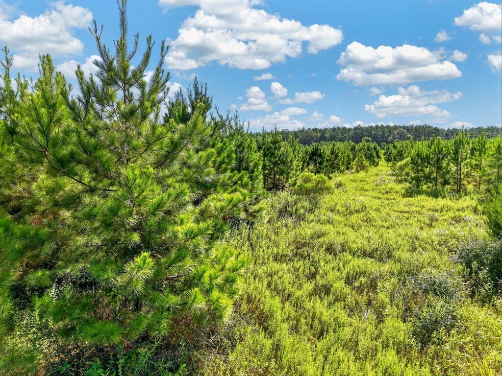 10.01 acres in Texas County - photo 13