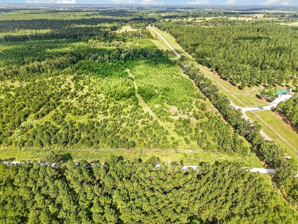 10.01 acres in Texas County - photo 8