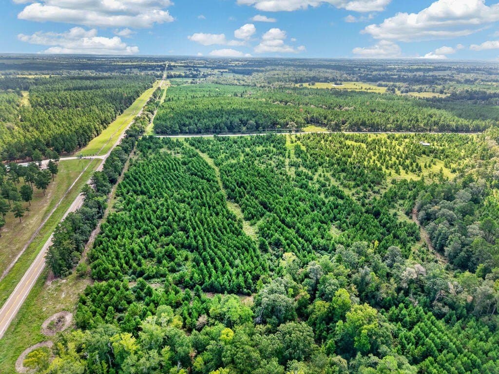 10.01 acres in Texas County - photo 9