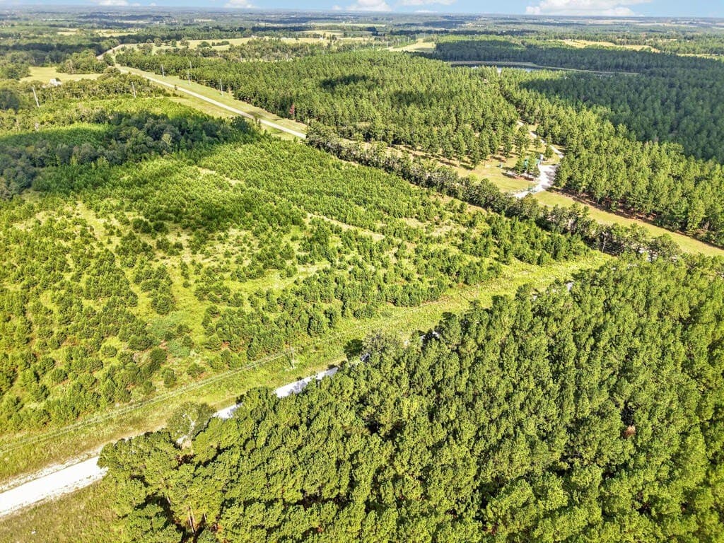 10.01 acres in Texas County - photo 7