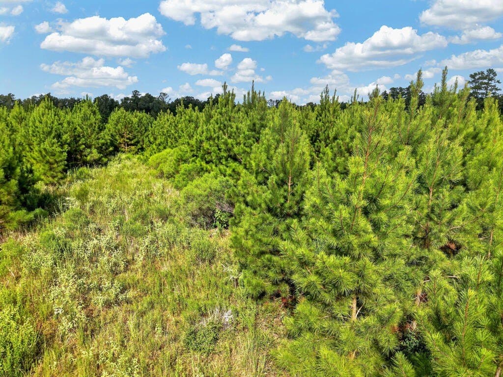 10.01 acres in Texas County - photo 12