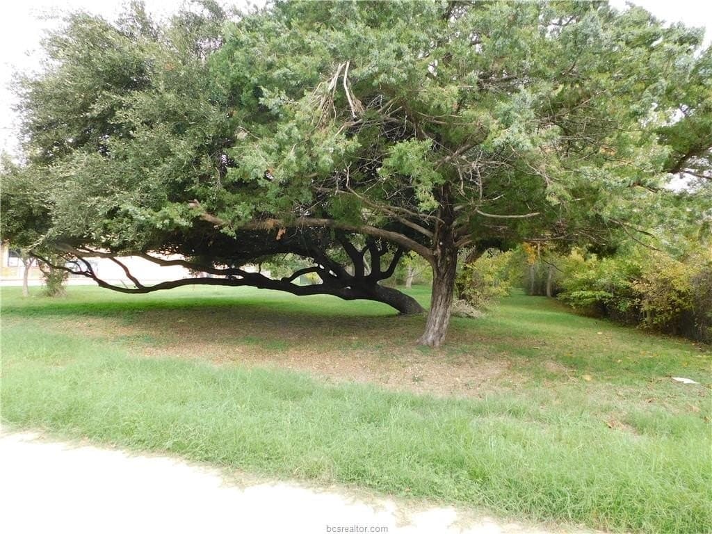 0.72 acres in Brazos County - photo 16
