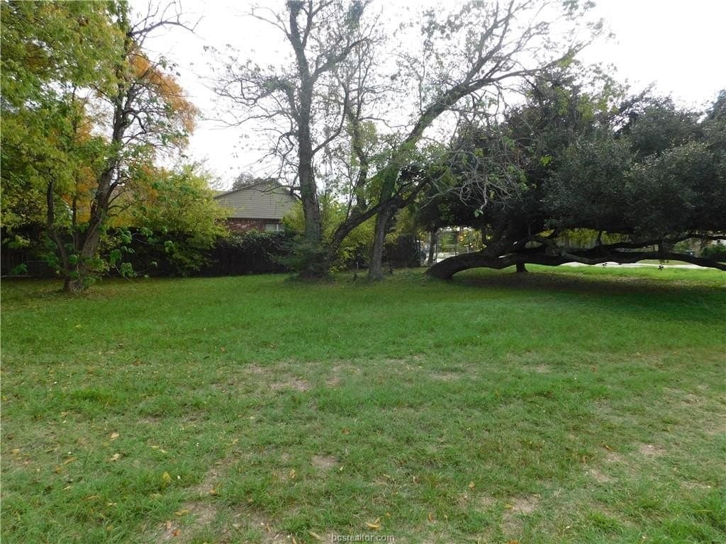 0.72 acres in Brazos County - photo 15