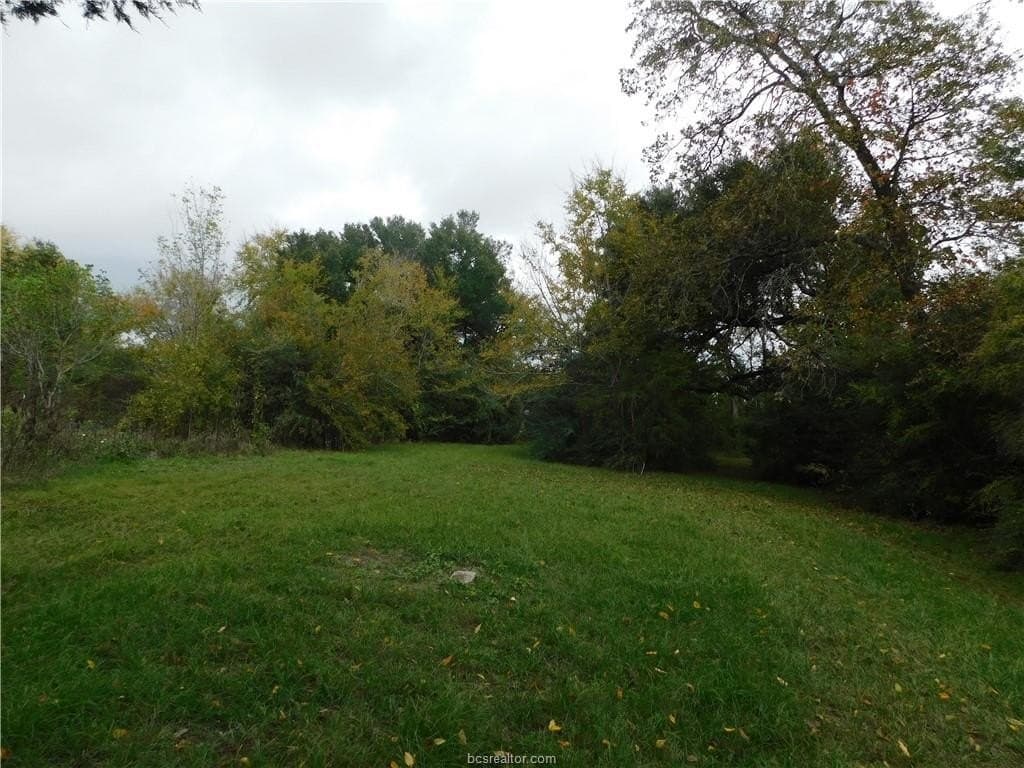 0.72 acres in Brazos County - photo 9