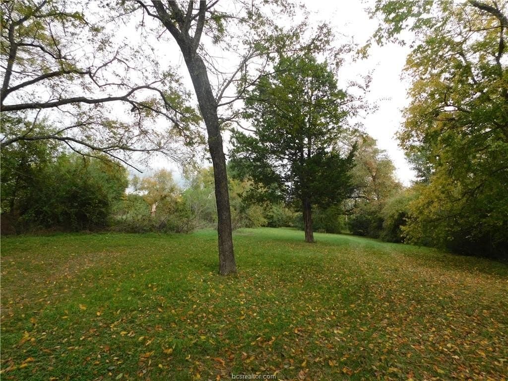 0.72 acres in Brazos County - photo 7