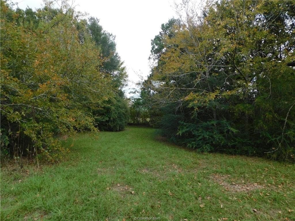 0.72 acres in Brazos County - photo 10