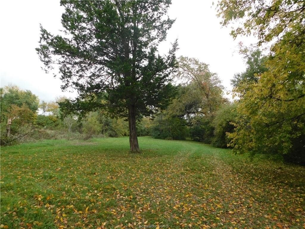 0.72 acres in Brazos County - photo 8