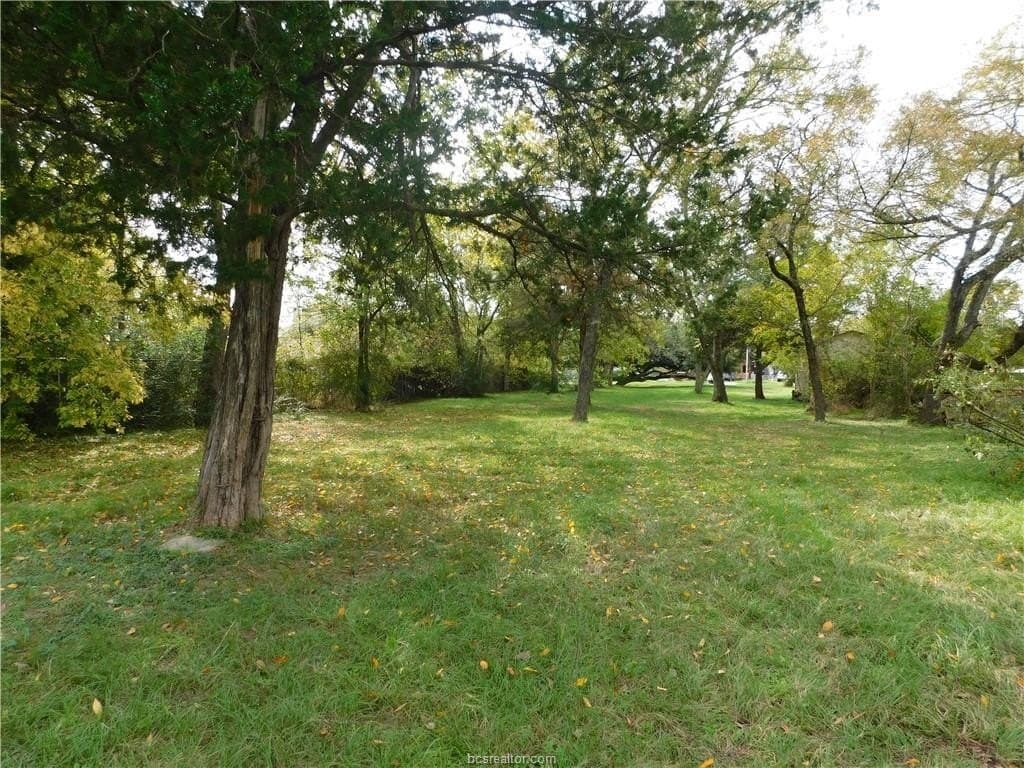 0.72 acres in Brazos County - photo 14