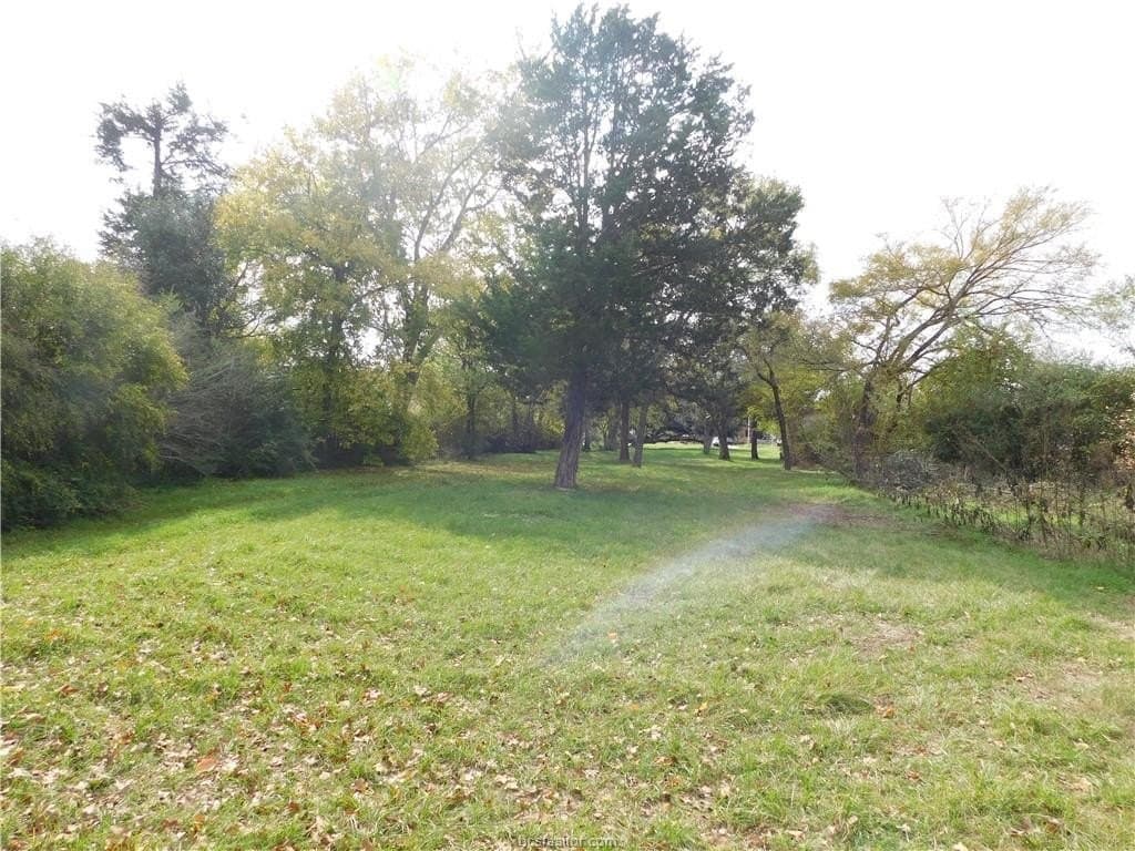 0.72 acres in Brazos County - photo 12