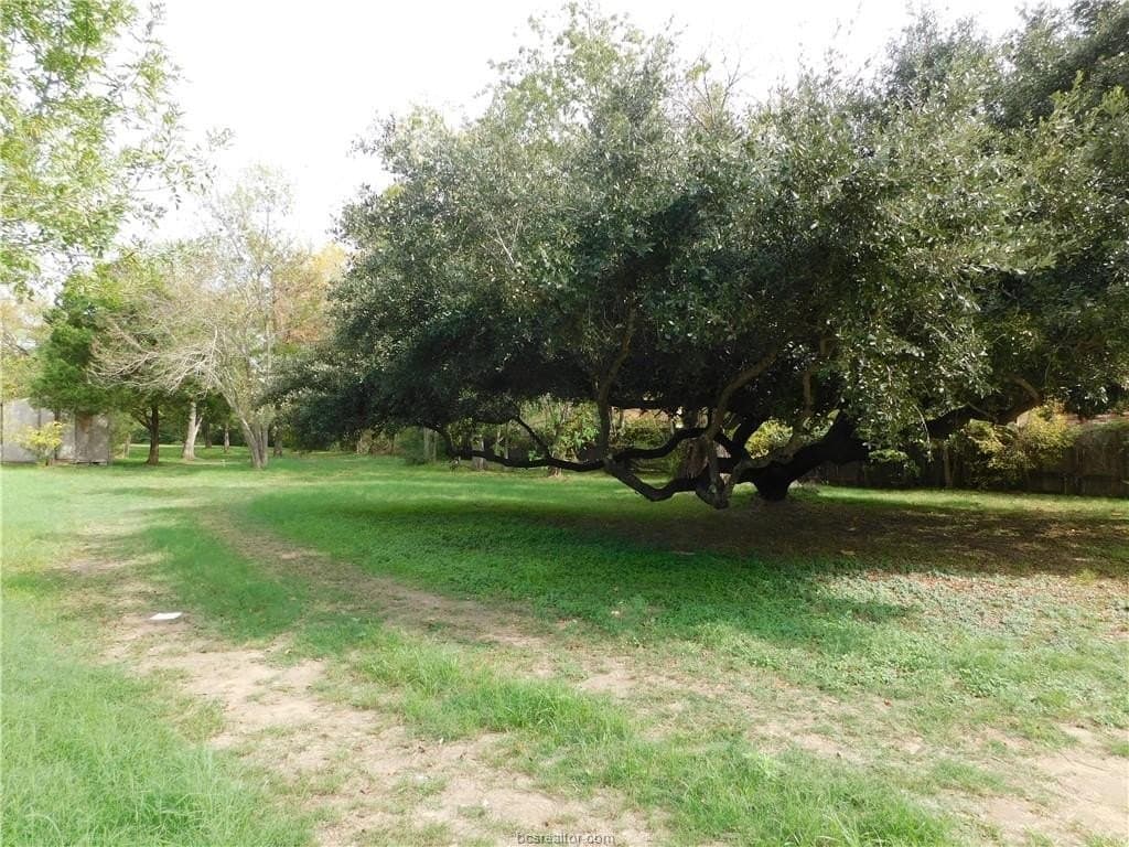 0.72 acres in Brazos County gallery image 2